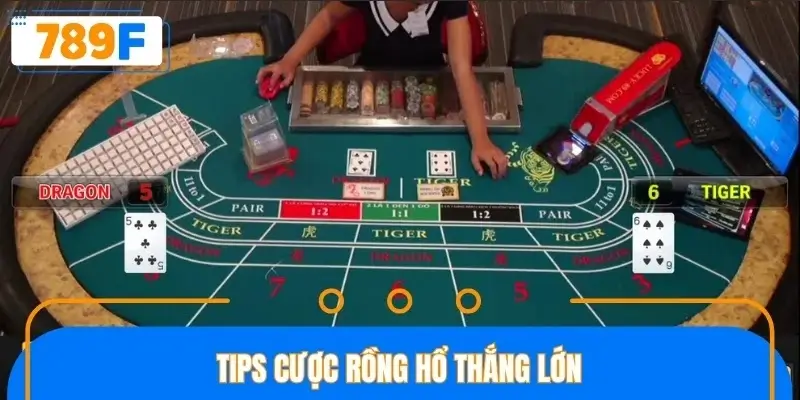 Tips cược Rồng Hổ thắng lớn
