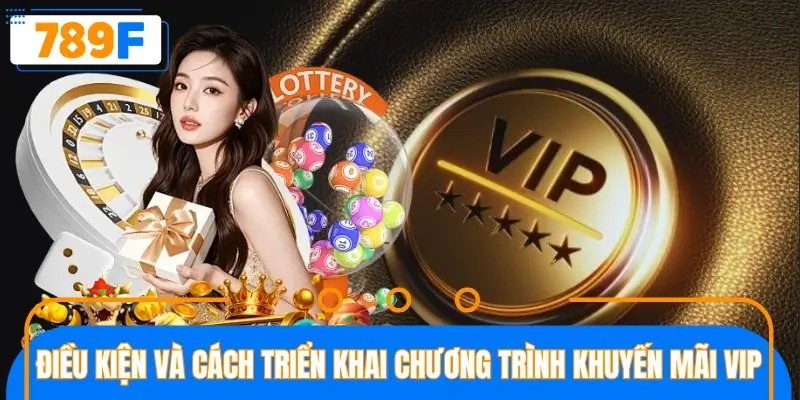 Điều kiện và cách triển khai chương trình khuyến mãi VIP